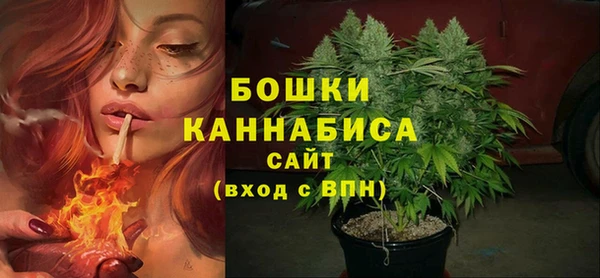 ПСИЛОЦИБИНОВЫЕ ГРИБЫ Иннополис
