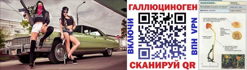 Купить закладки  Петровск-Забайкальский  Галлюциногенные грибы Cubensis 